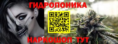 альфа пвп Заводоуковск