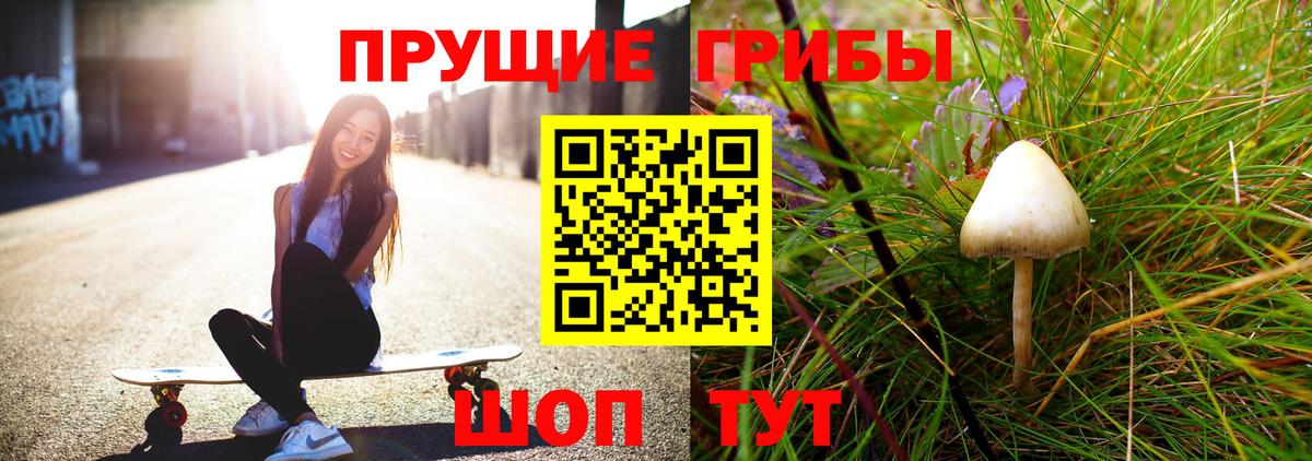 Псилоцибиновые грибы GOLDEN TEACHER Лесной